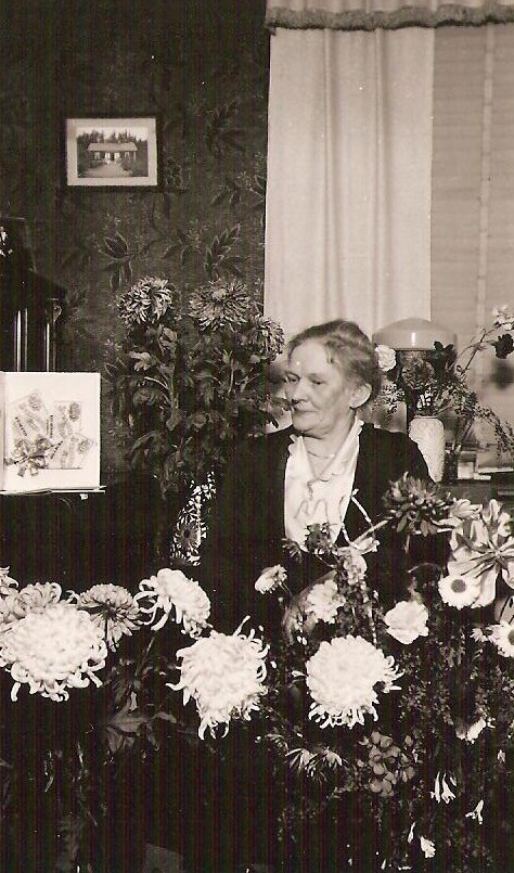 Eriksson Anna